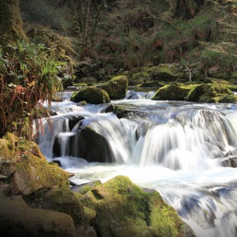 Golitha Falls
