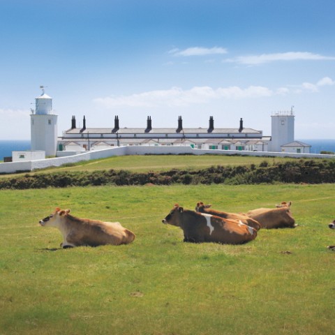 Lizard Lighthouse