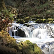 Golitha Falls