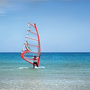 Windsurfer
