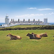 Lizard Lighthouse