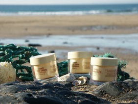 Honey Cosmetics, Cornwall